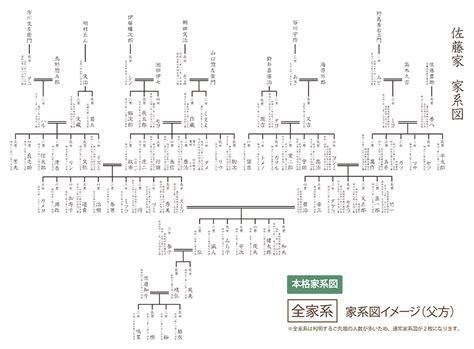 家樹|家系図作成の家樹